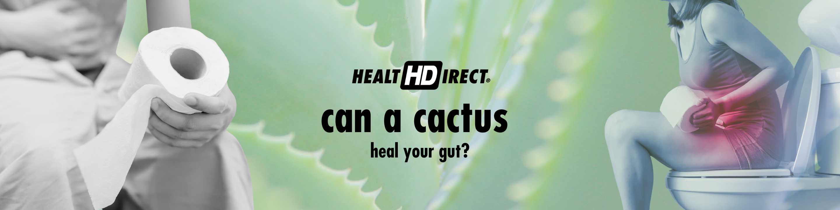 Can a Cactus Heal Your Gut?